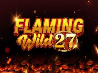Flaming Wild 27 game cover
