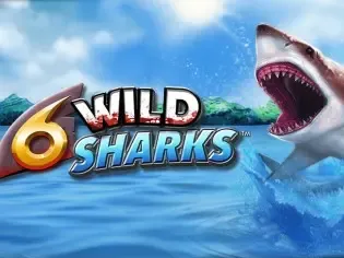 6 Wild Sharks icon