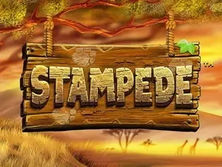 Stampede game cover