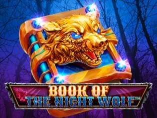Book Of The Night Wolf icon